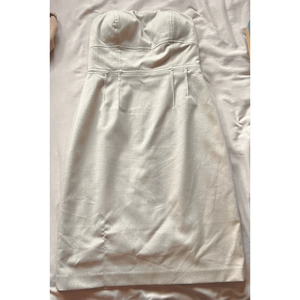 Banana Republic Champagne Dress - Picture 2 of 4